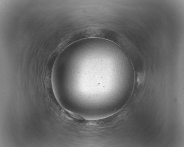 X0000079300867200611251710