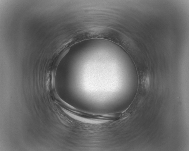 X0000079300868200611251710
