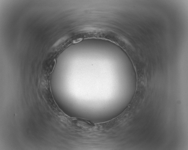 X0000079300869200611251710