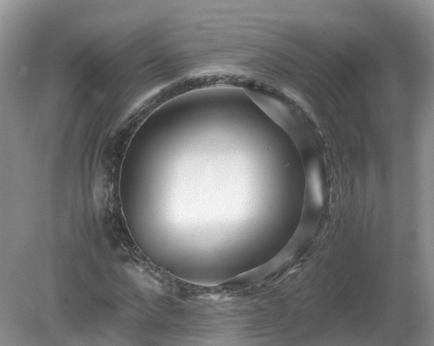 X0000079300872200611251710