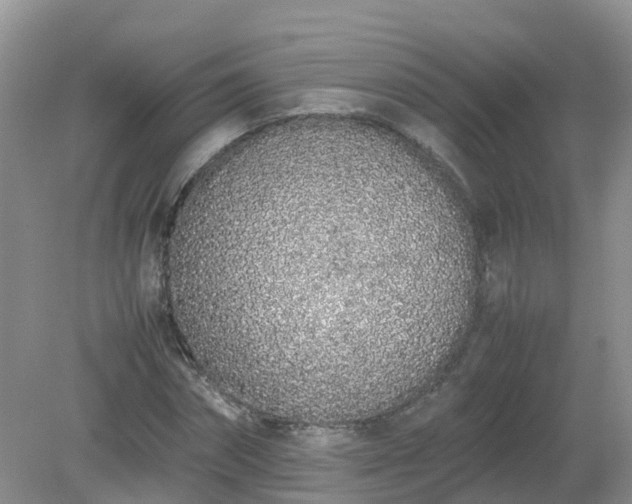 X0000079300874200611251710