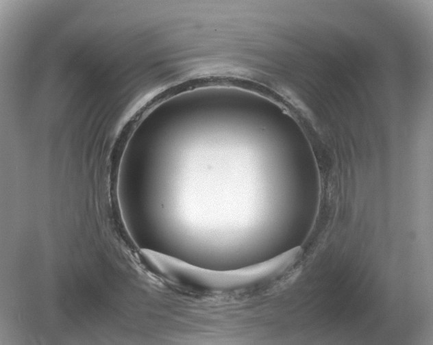 X0000079300877200611251710
