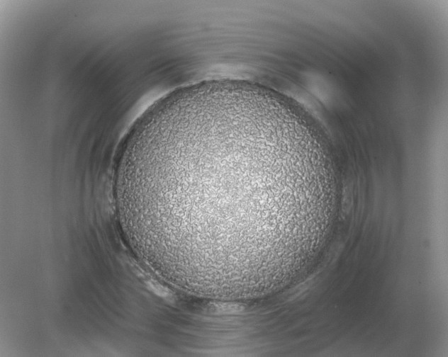 X0000079300878200611251710