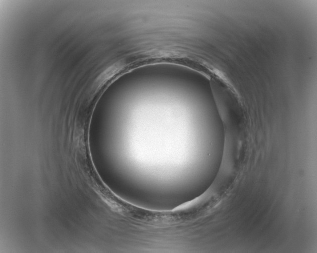 X0000079300881200611251710