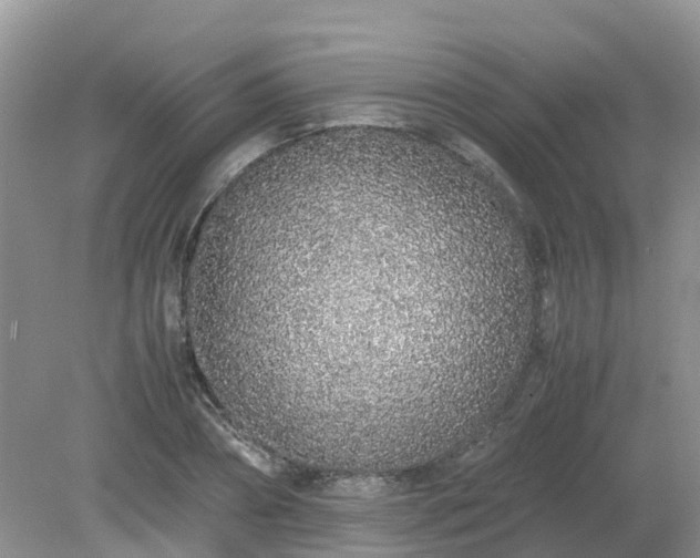 X0000079300882200611251710