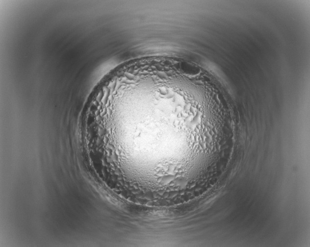 X0000079300883200611251710