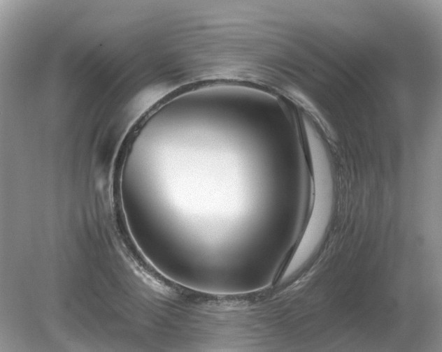 X0000079300884200611251710