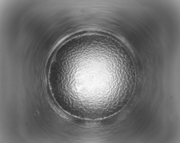 X0000079300887200611251710