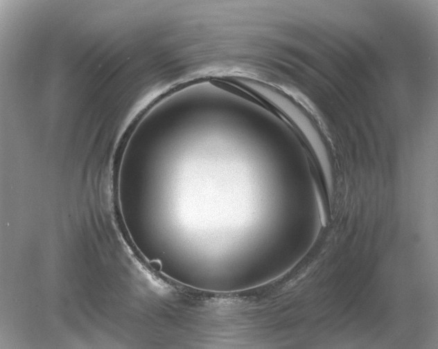 X0000079300894200611251710