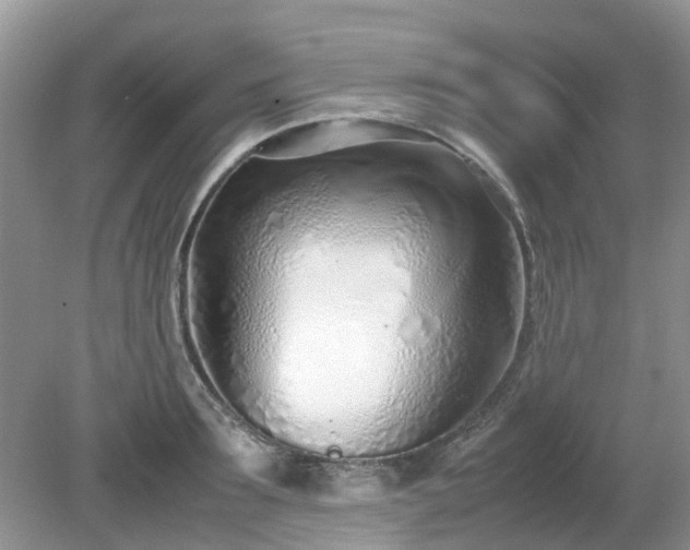 X0000079300899200611251710