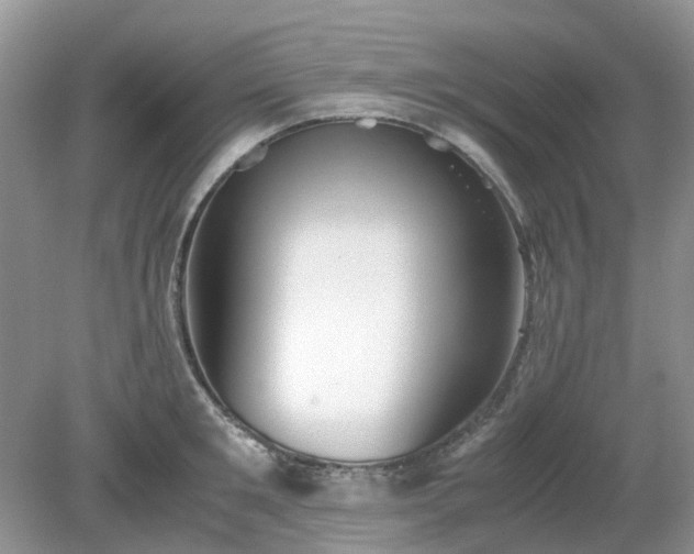 X0000079300901200611251710