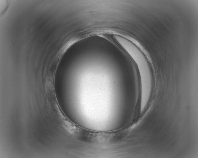 X0000079300905200611251710