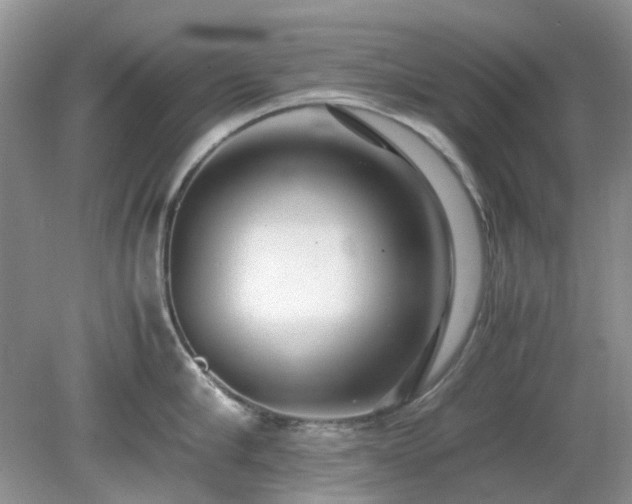 X0000079300910200611251710