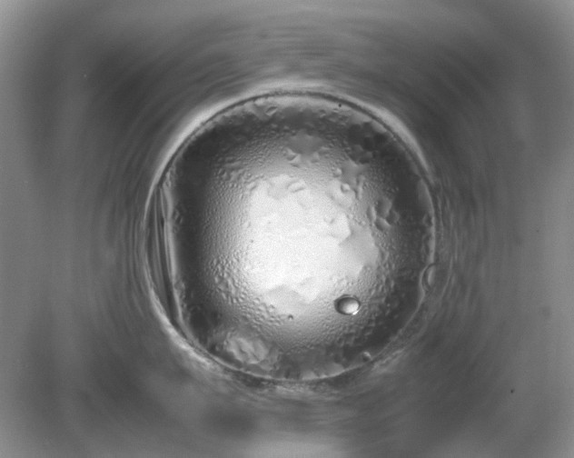 X0000079300911200611251710
