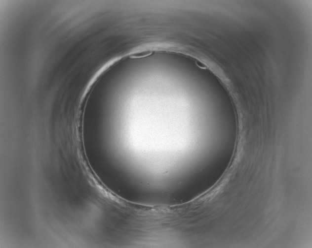 X0000079300912200611251710