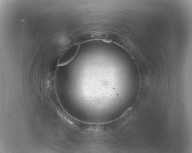 X0000079300914200611251709