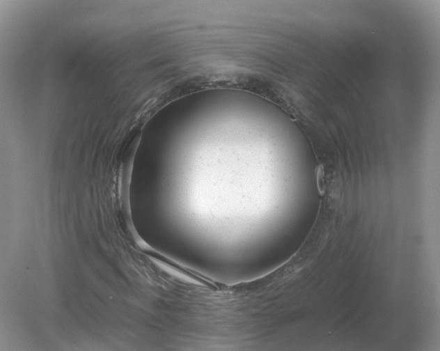 X0000079300916200611251709