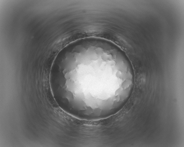 X0000079300917200611251709