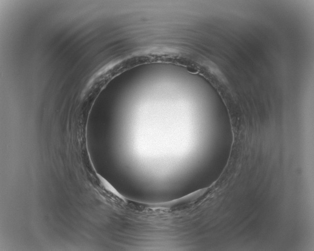 X0000079300920200611251709