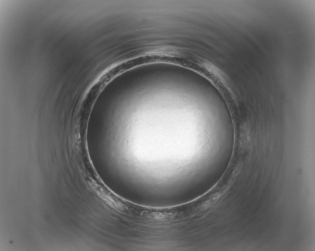 X0000079300923200611251709