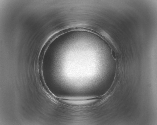 X0000079300924200611251709