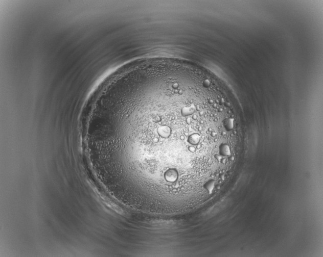 X0000079300925200611251709