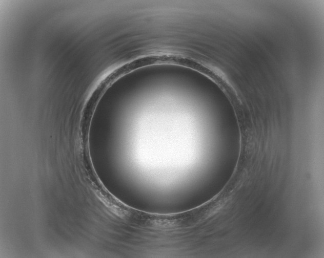 X0000079300927200611251709