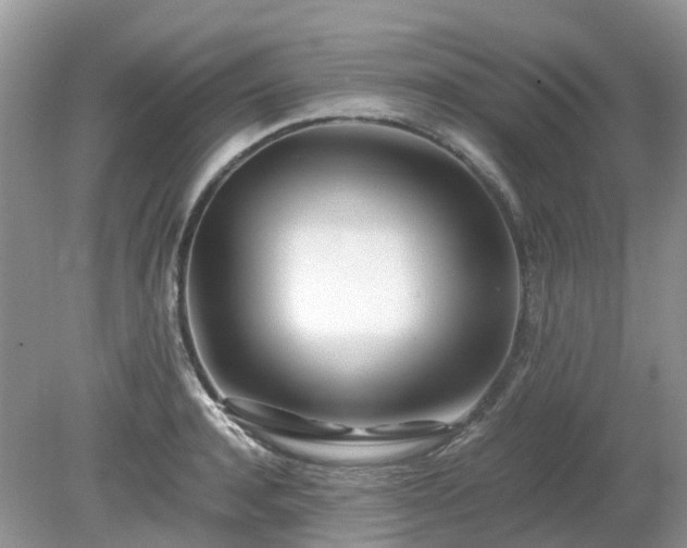 X0000079300944200611251709