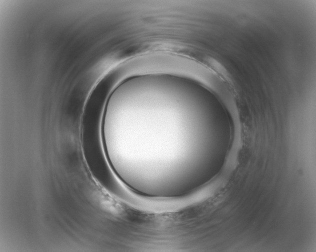 X0000079300948200611251709