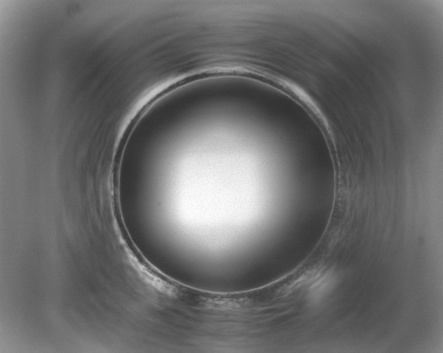 X0000079300951200611251709