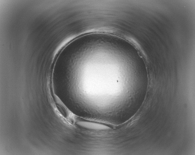 X0000079300952200611251709