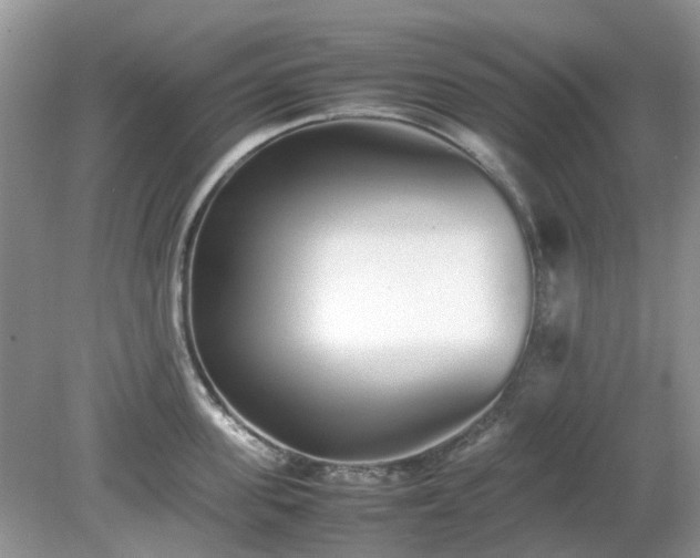 X0000079300955200611251709