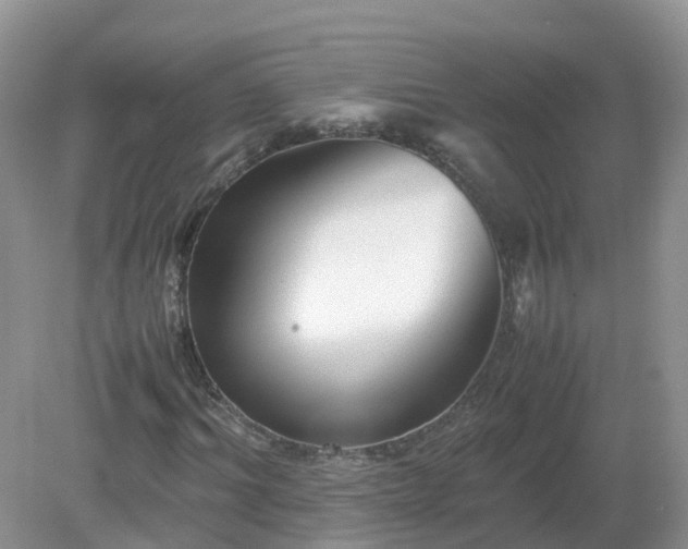 X0000079300964200611251709