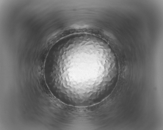 X0000079300966200611251709