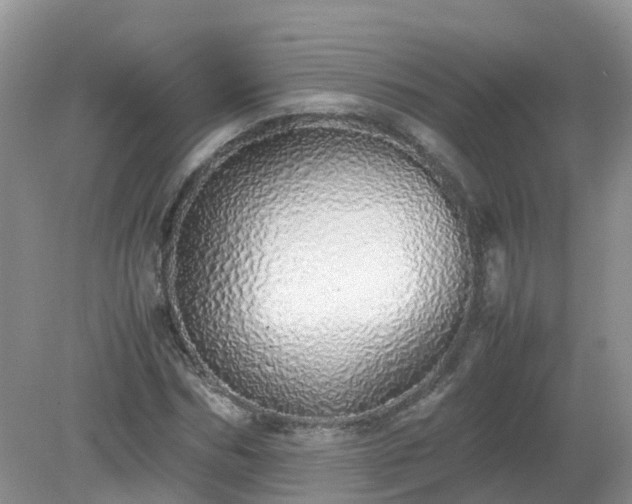 X0000079300970200611251709