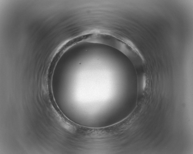 X0000079300972200611251709