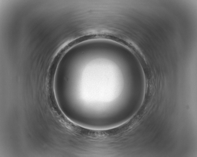 X0000079300975200611251709