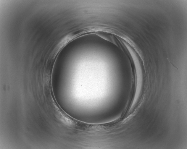 X0000079300993200611251708