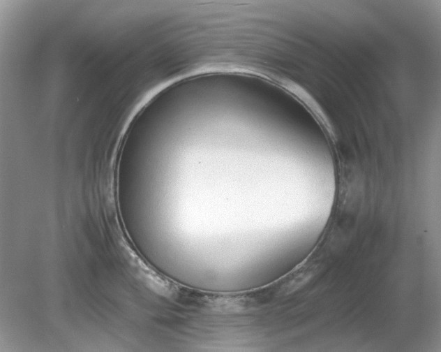 X0000079301004200611251708