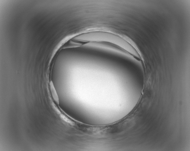 X0000079301005200611251708