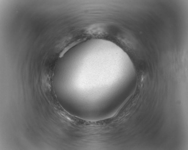 X0000079301010200611251707