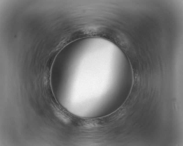 X0000079301012200611251707