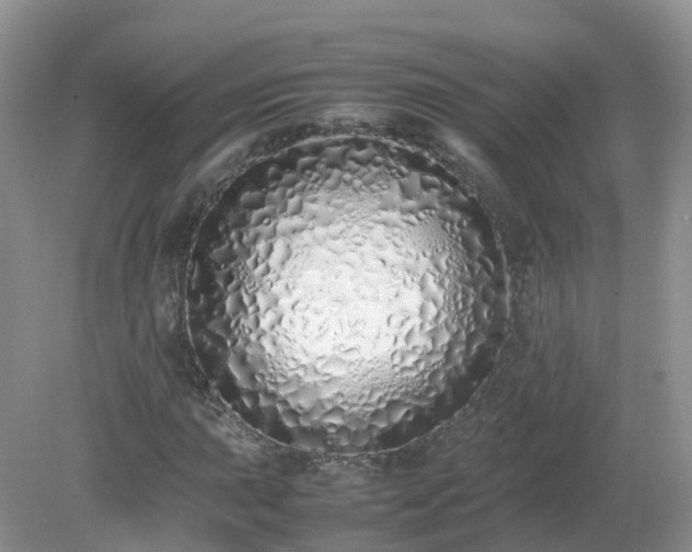 X0000079301015200611251707
