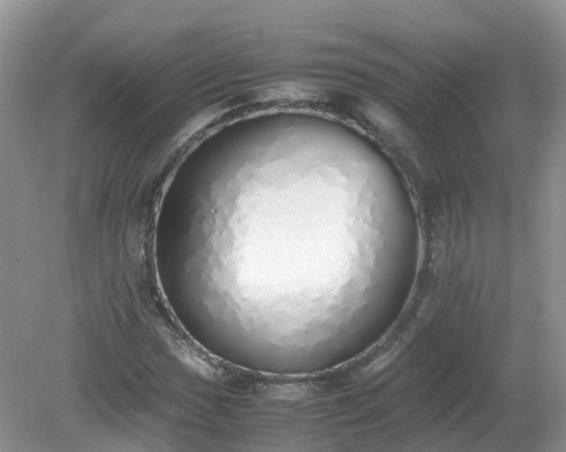 X0000079301017200611251707