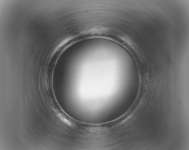 X0000079301018200611251707