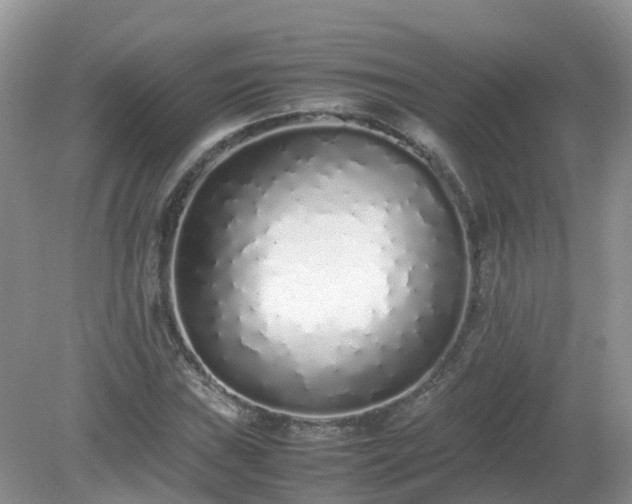 X0000079301019200611251707