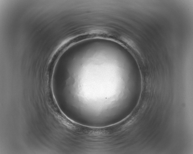 X0000079301021200611251707