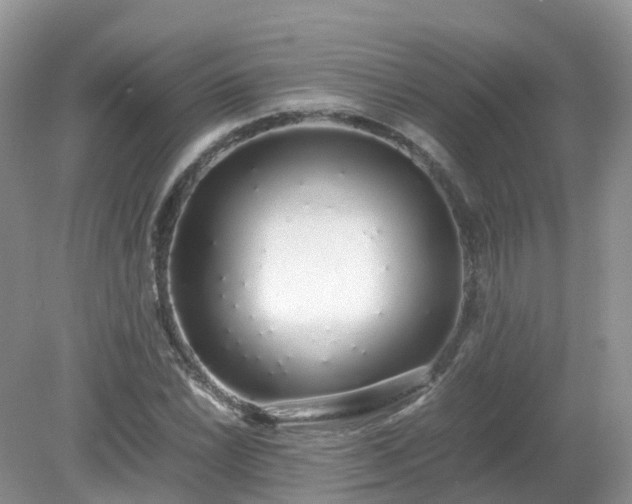 X0000079301022200611251707