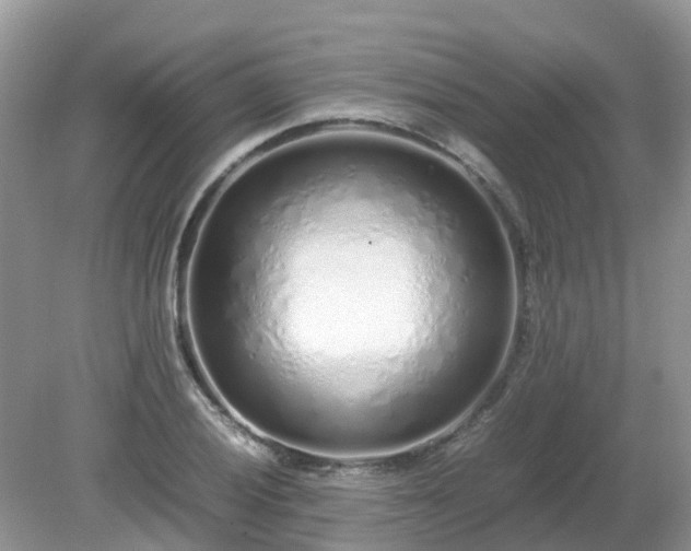 X0000079301028200611251707
