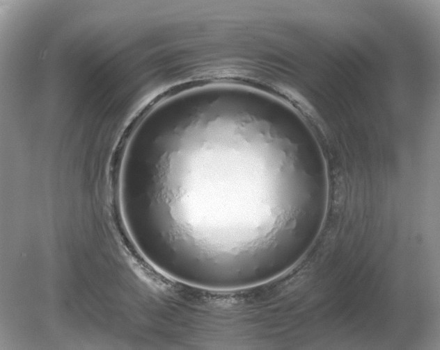 X0000079301031200611251708